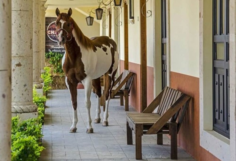 田舎風ホテル Chalet De Colombo