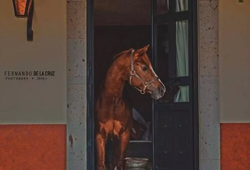田舎風ホテル Chalet De Colombo