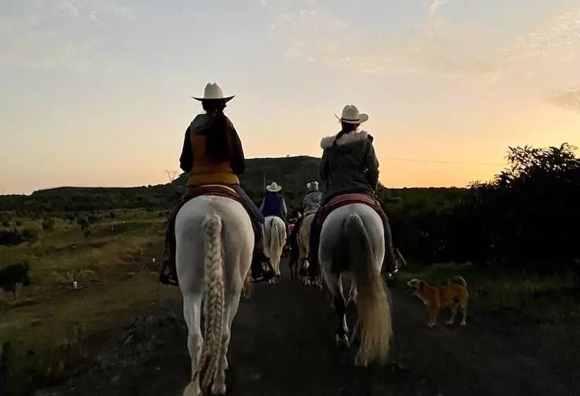 田舎風ホテル Chalet De Colombo