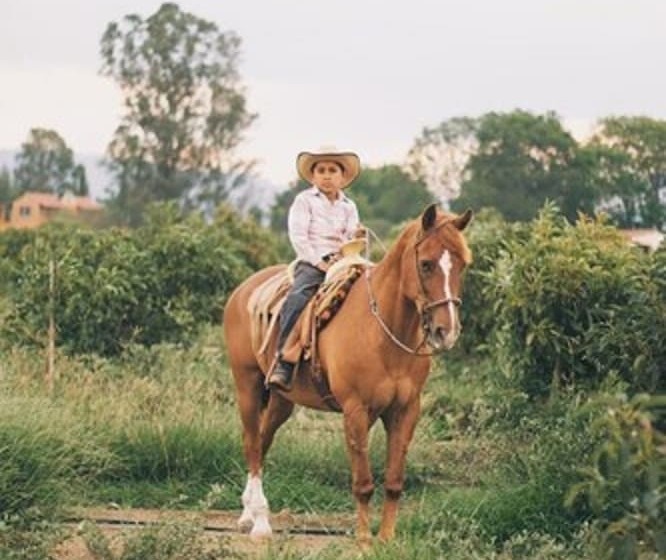 田舎風ホテル Chalet De Colombo