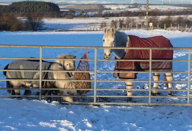 Pensjonat Blairmains Guest House