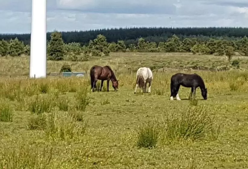 Majatalo Blairmains Guest House