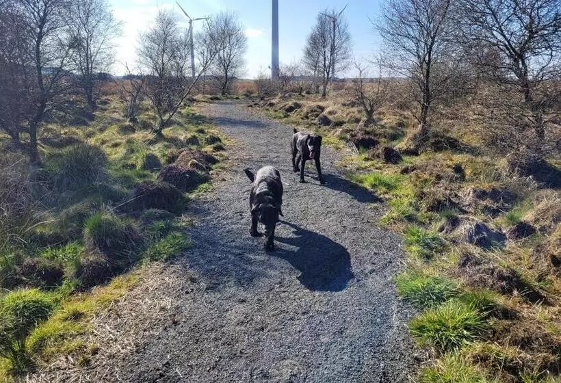 Majatalo Blairmains Guest House