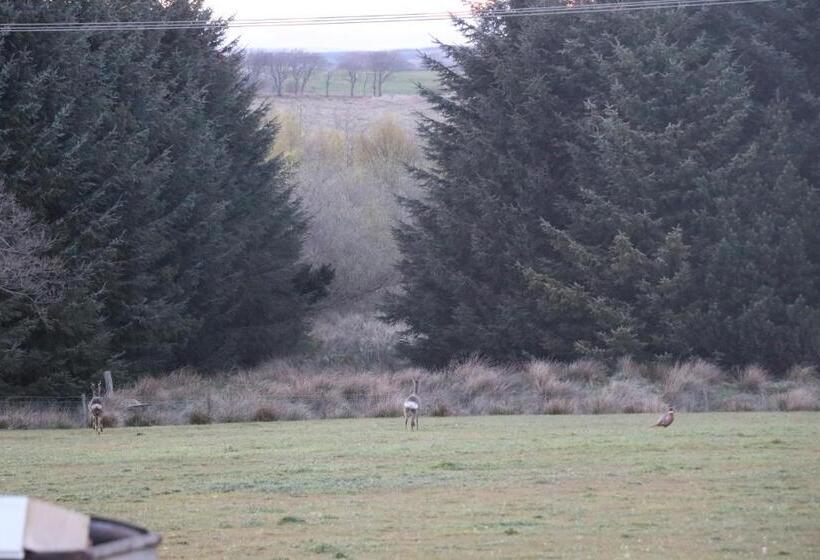 Pensjonat Blairmains Guest House