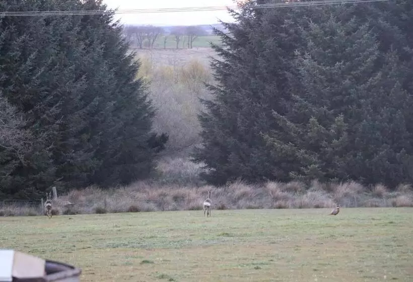 Majatalo Blairmains Guest House