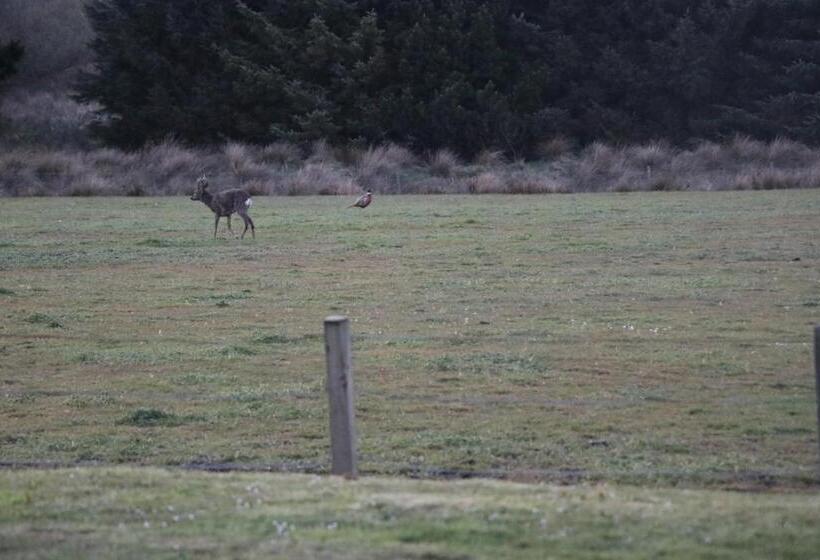 Pensjonat Blairmains Guest House