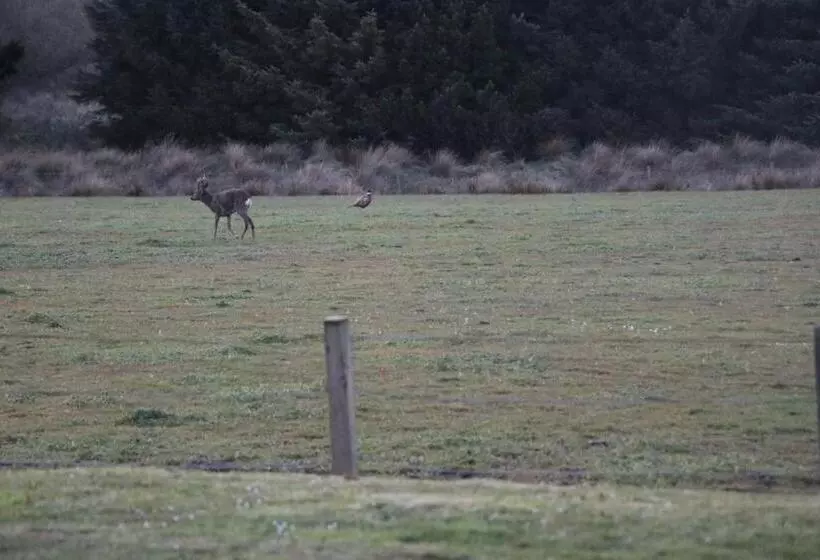 Majatalo Blairmains Guest House