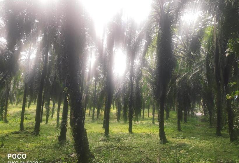 Greenland Resort Athirappilly