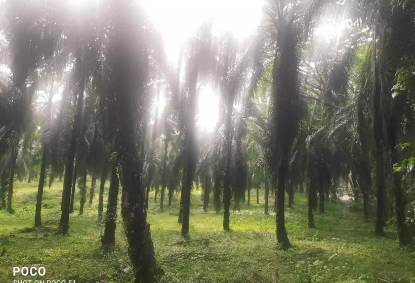 Greenland Resort Athirappilly