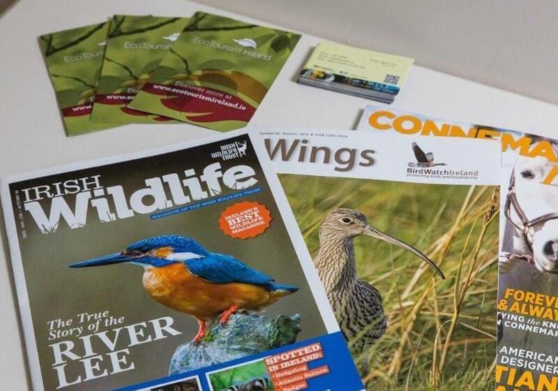 The Beach, Days Bar And B&b