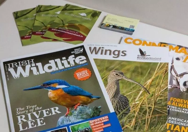 The Beach, Days Bar And B&b