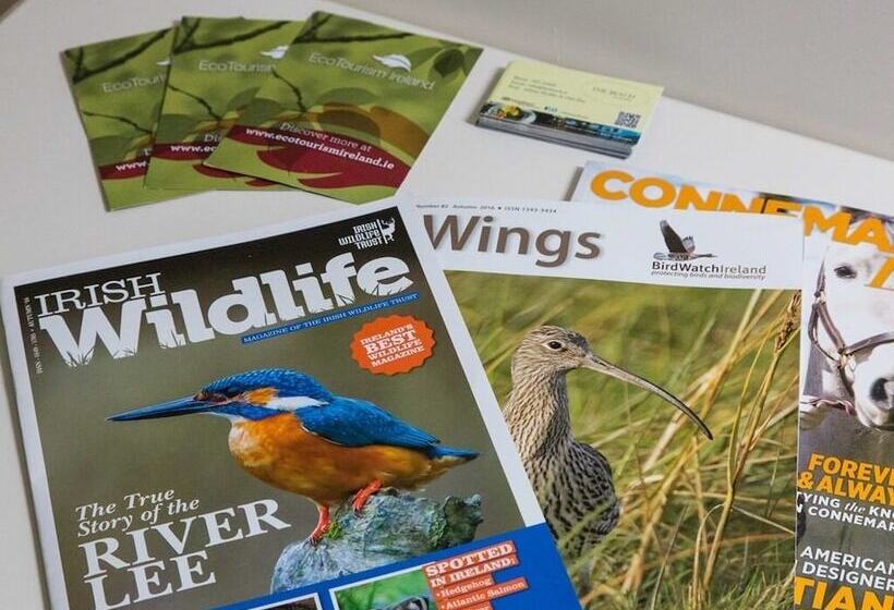 The Beach, Days Bar And B&b