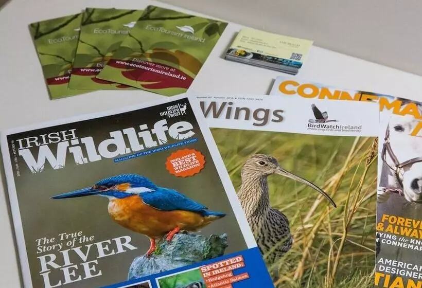 The Beach, Days Bar And B&b