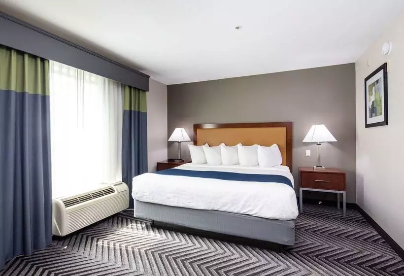 Отель Best Western Inn & Suites San Mateo San Francisco Airport