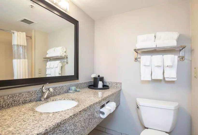 Отель Best Western Inn & Suites San Mateo San Francisco Airport