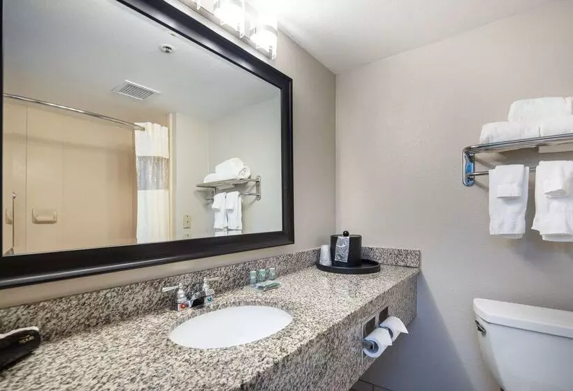 Отель Best Western Inn & Suites San Mateo San Francisco Airport