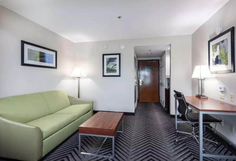 Отель Best Western Inn & Suites San Mateo San Francisco Airport