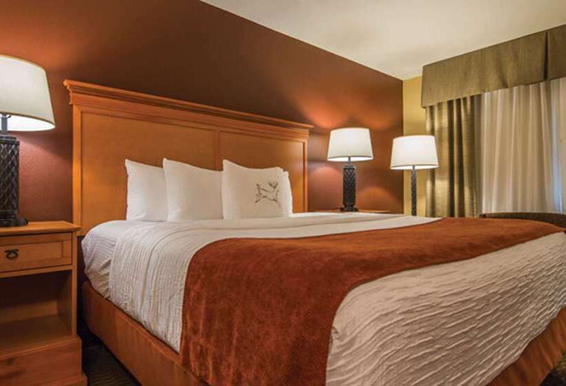 Best Western Plus Deer Park Hotel And Suites
