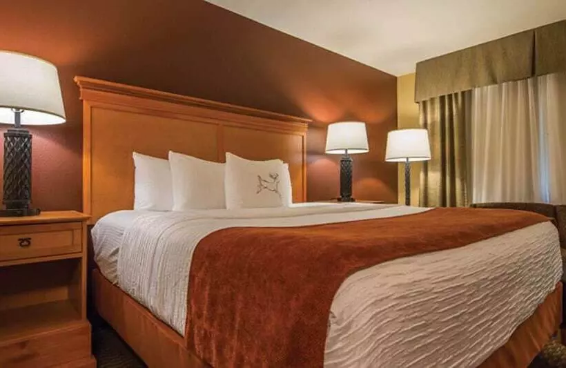 Best Western Plus Deer Park Hotel And Suites