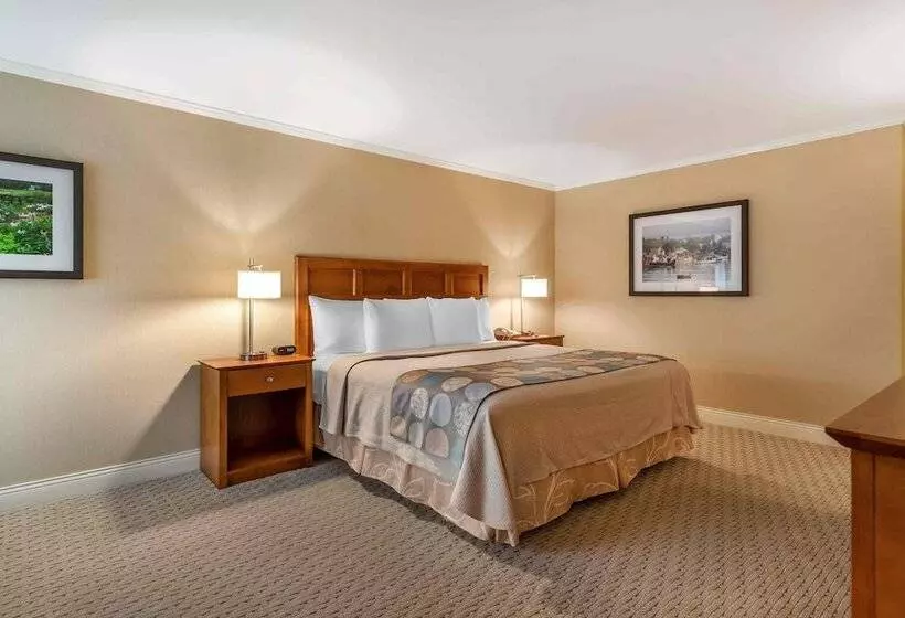 ホテル Gorges Grant