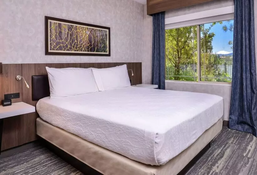 Отель Hilton Garden Inn Bend