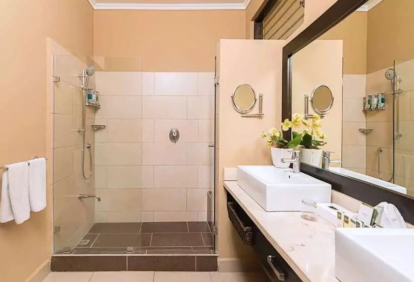 酒店 Occidental Papagayo  Adults Only All Inclusive