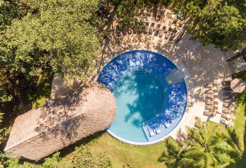 Hotel Occidental Papagayo  Adults Only All Inclusive