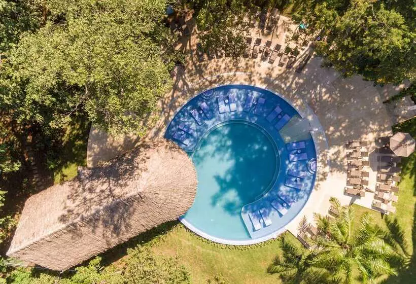 酒店 Occidental Papagayo  Adults Only All Inclusive