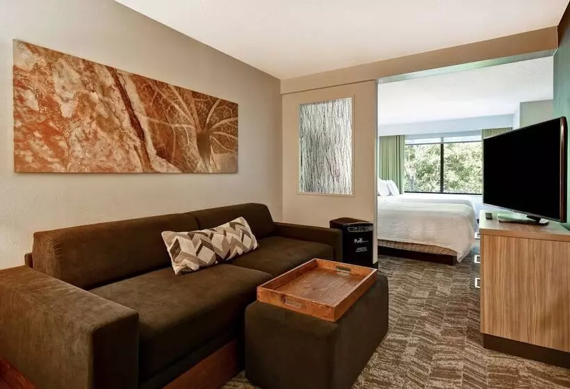 Hotel Springhill Suites By Marriott Atlanta Kennesaw