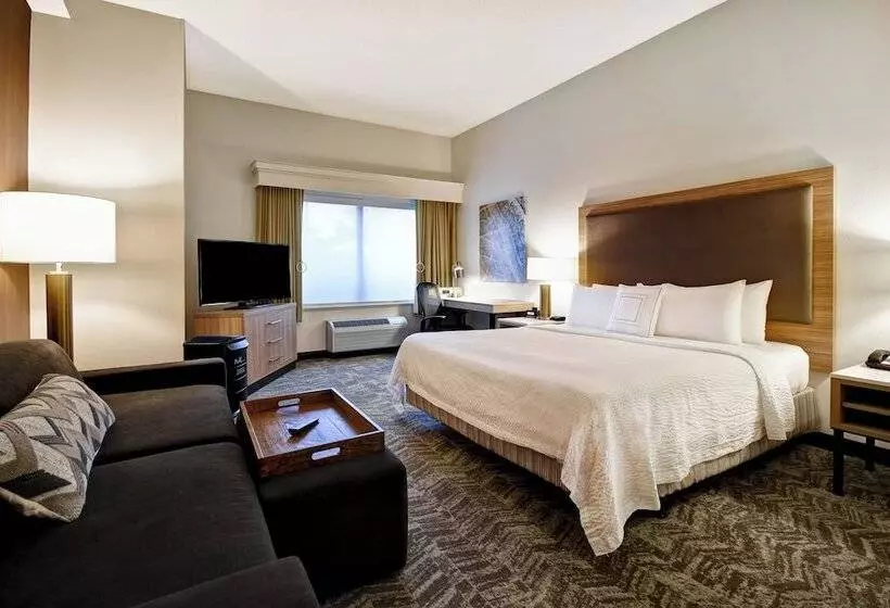 Hotel Springhill Suites By Marriott Atlanta Kennesaw