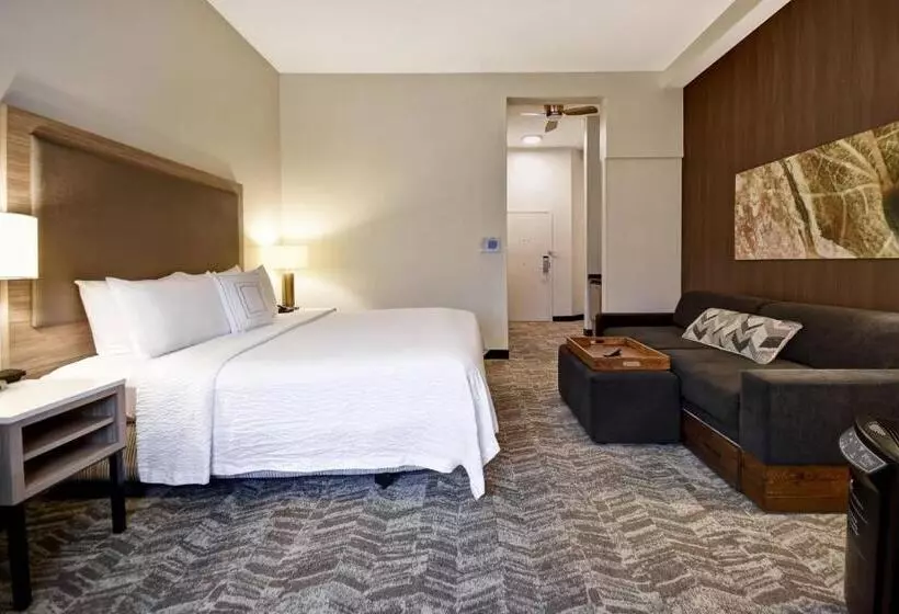 Hotel Springhill Suites By Marriott Atlanta Kennesaw