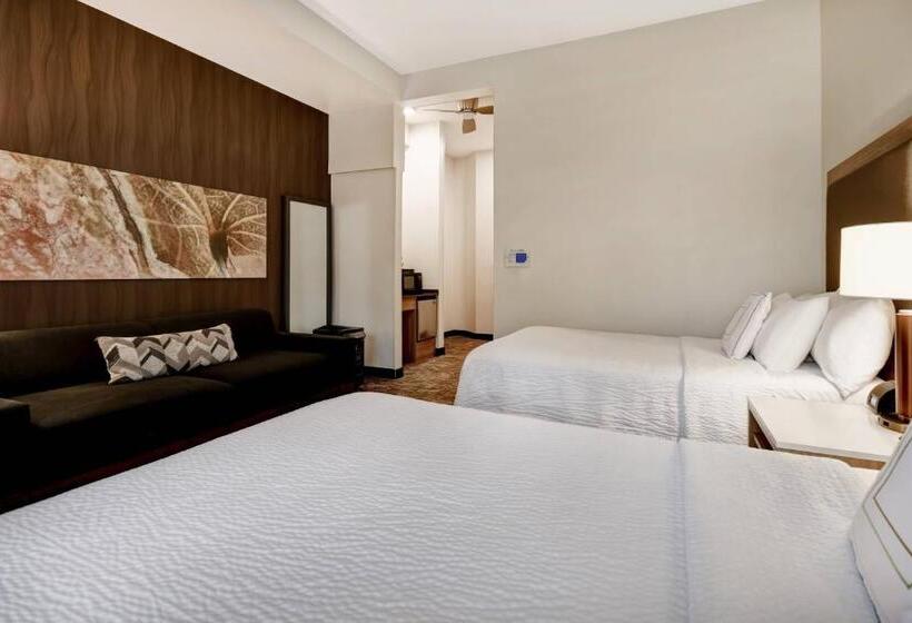 فندق Springhill Suites By Marriott Atlanta Kennesaw