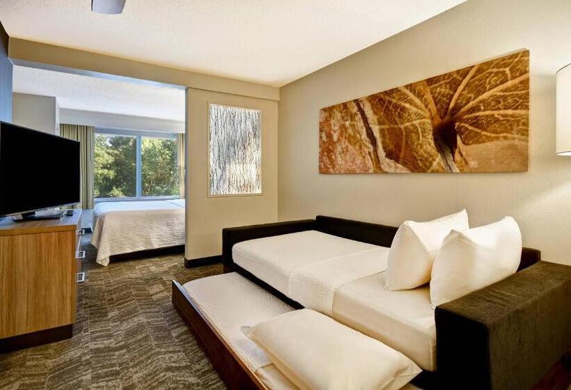 فندق Springhill Suites By Marriott Atlanta Kennesaw