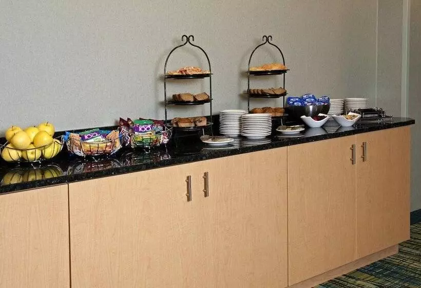 ホテル Springhill Suites By Marriott Chicago O Hare