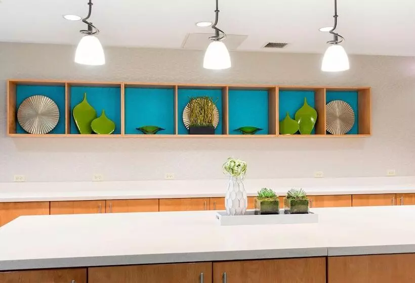 ホテル Springhill Suites By Marriott Chicago O Hare