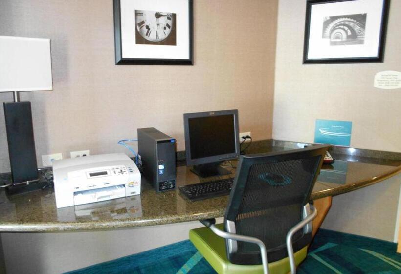Otel Springhill Suites Morgantown