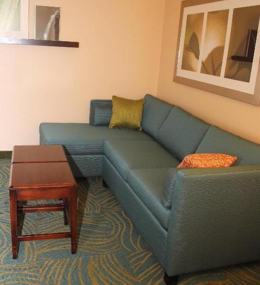 Otel Springhill Suites Morgantown