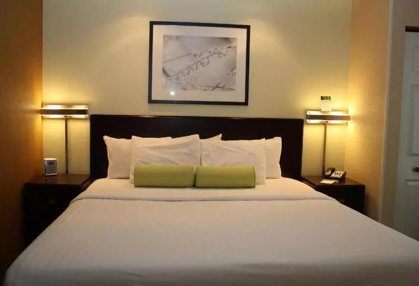 فندق Springhill Suites Morgantown