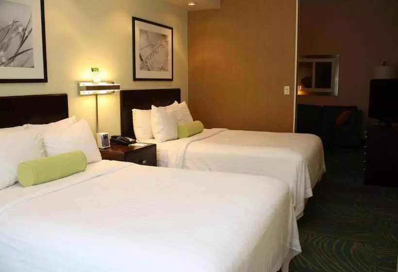 فندق Springhill Suites Morgantown