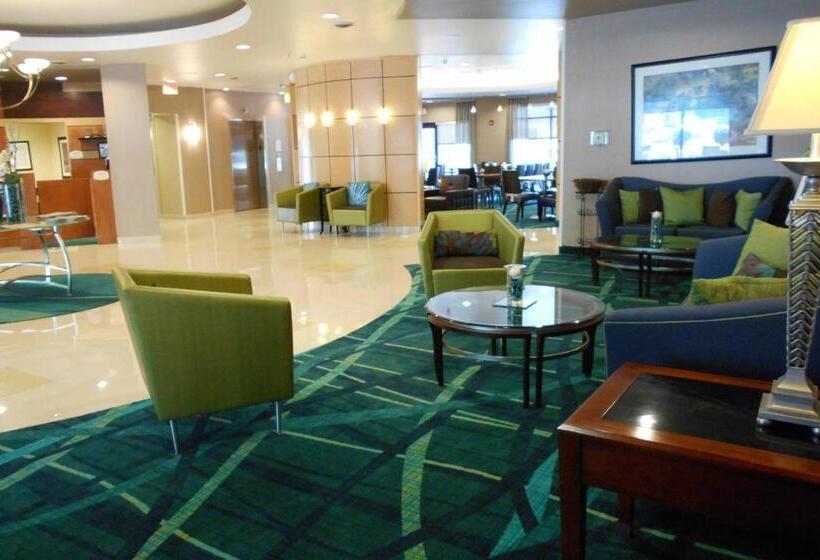 Otel Springhill Suites Morgantown