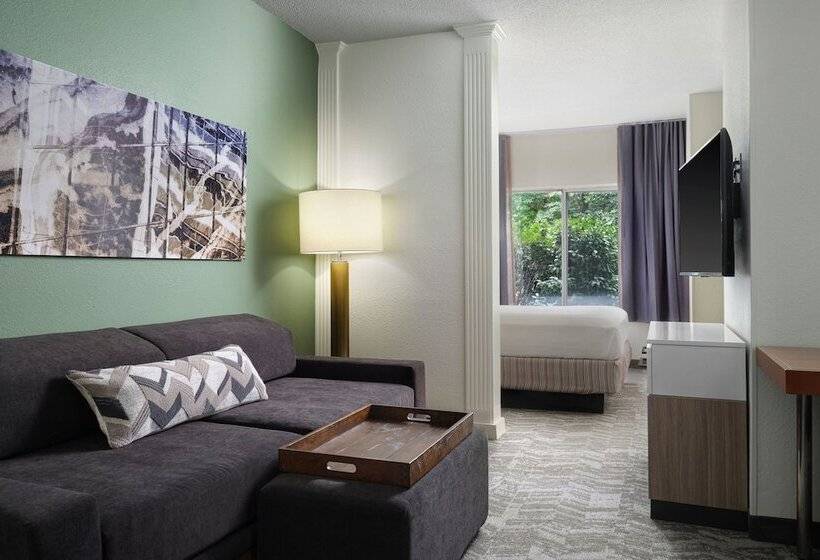 هتل Springhill Suites Nashville Metrocenter