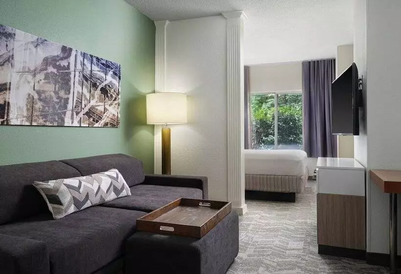 Отель Springhill Suites Nashville Metrocenter