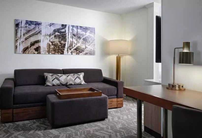 Отель Springhill Suites Nashville Metrocenter