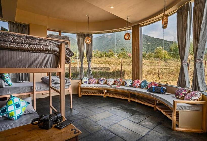 ユースホステル Zostel Plus Bir