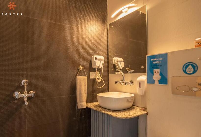 ユースホステル Zostel Plus Bir