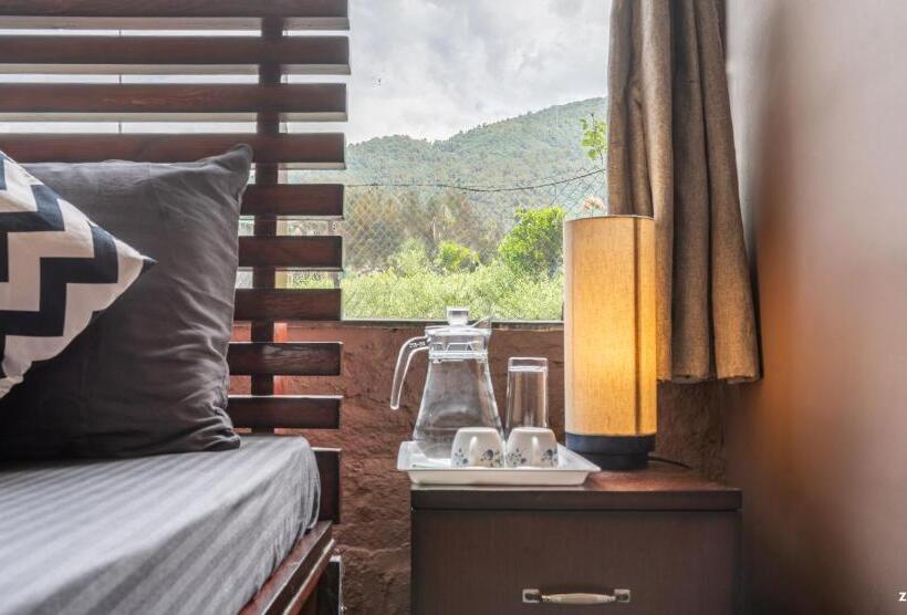 ユースホステル Zostel Plus Bir