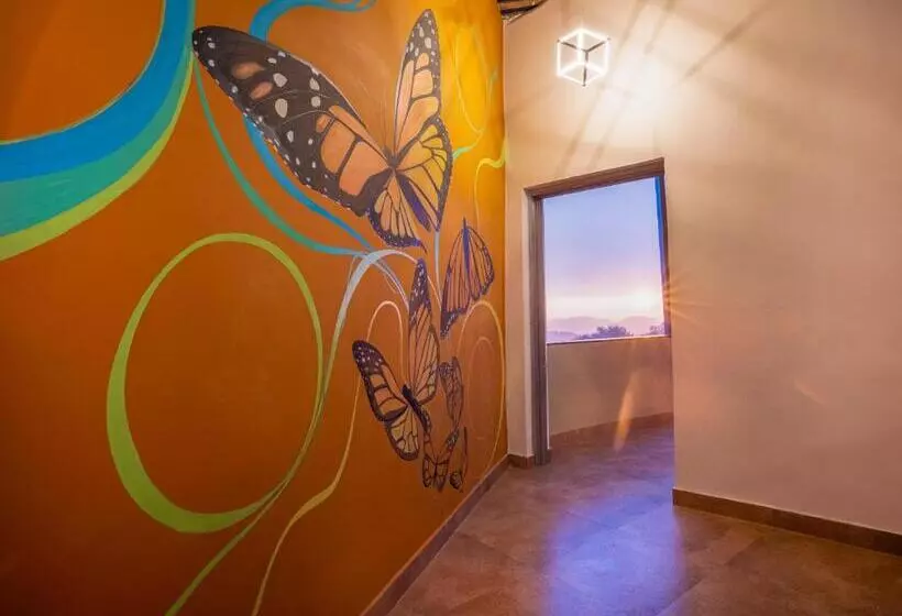 ユースホステル Zostel Plus Bir