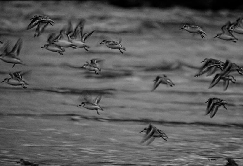 住宿加早餐 Da La Nada