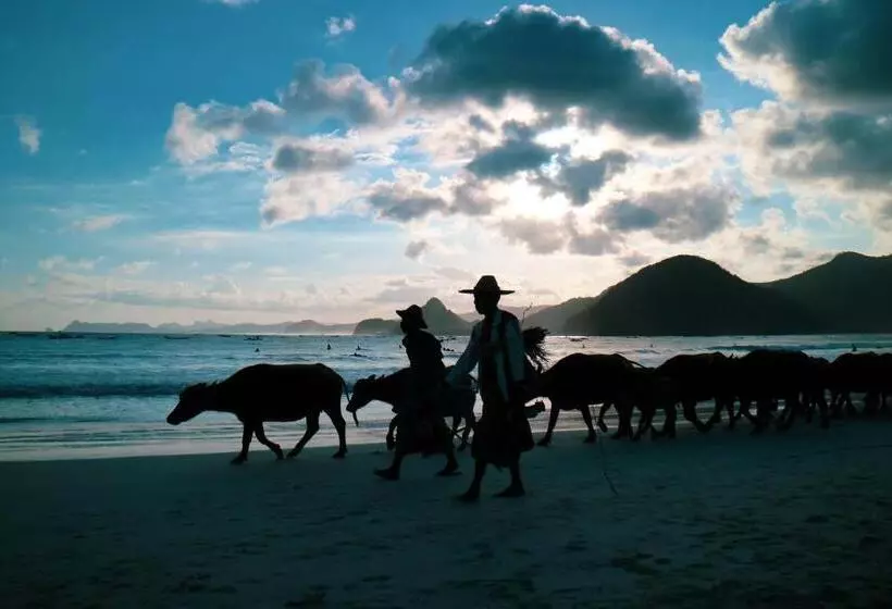 ベッドアンドブレックファースト Green Valley Lombok