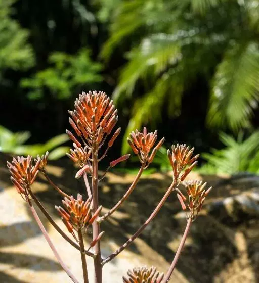 Guácima Escondida Hotel Boutique